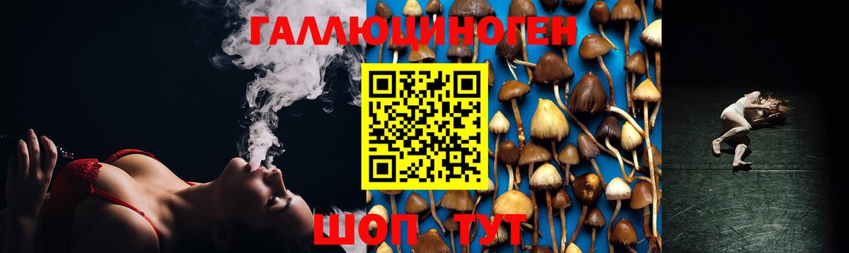 Псилоцибиновые грибы ЛСД  Вход с VPN  Кимры  Псилоцибиновые грибы мухоморы 